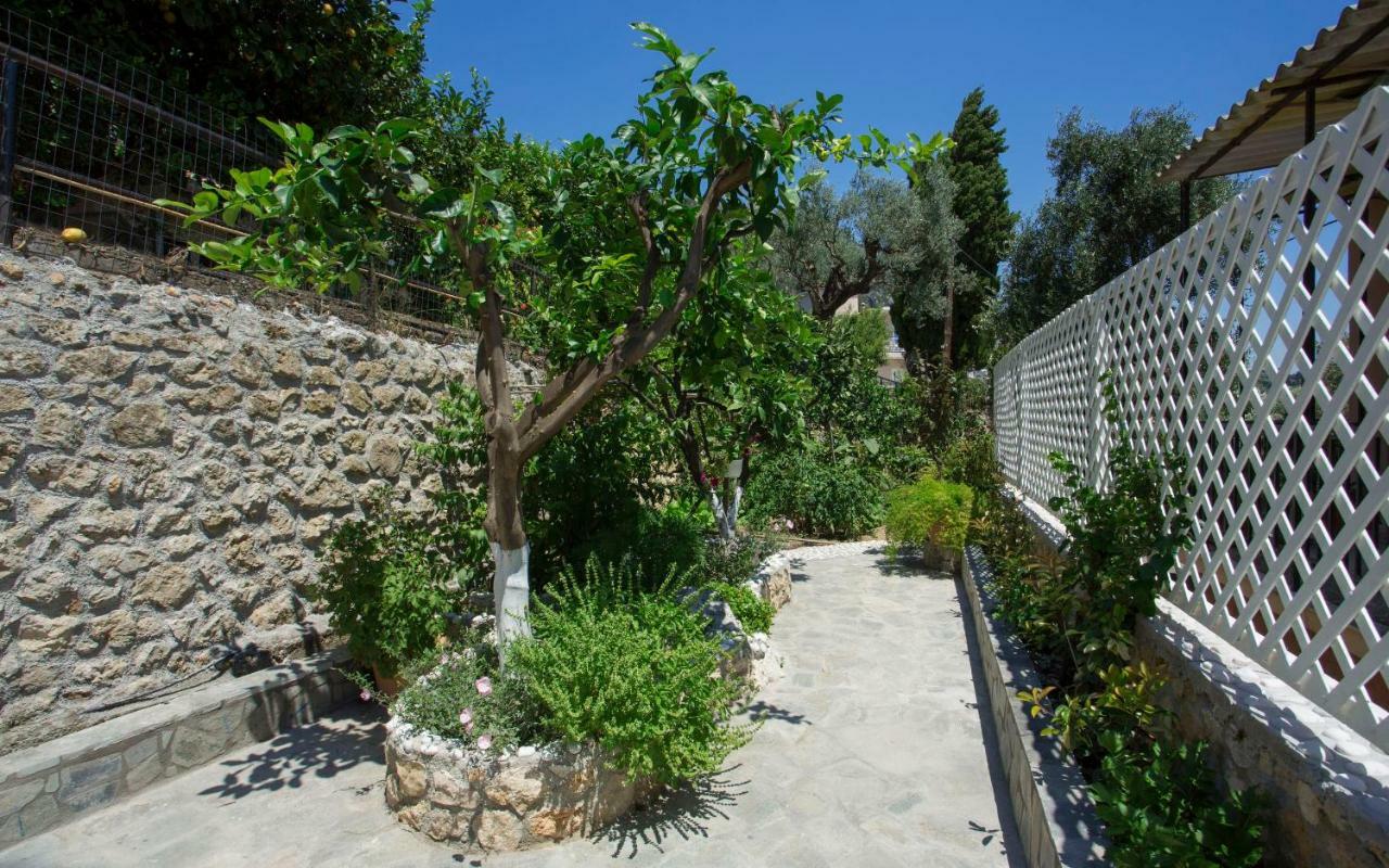 Thalassa Studios Paleokastritsa Exteriér fotografie